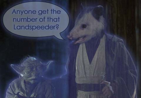 Obi-Wan-Possum-Autoline